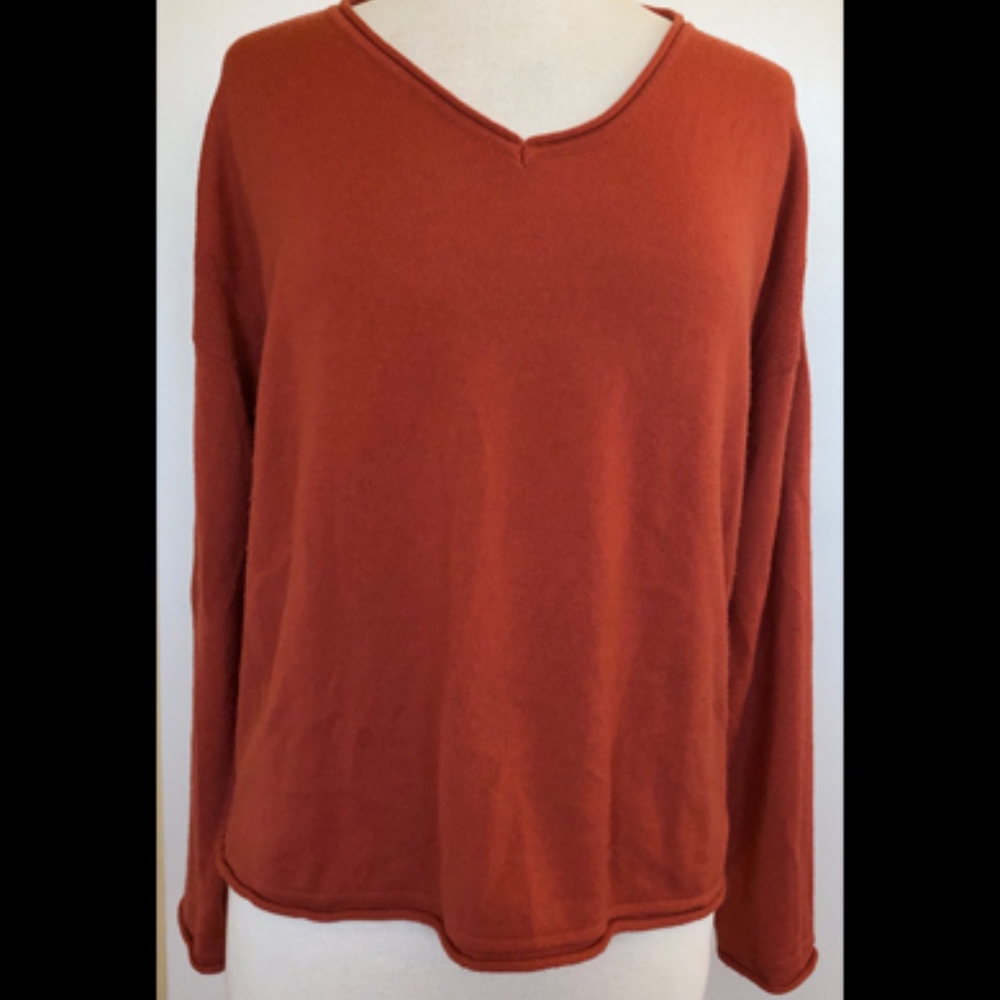 Garnet Hill Women's V-Neck Sweater in Rust